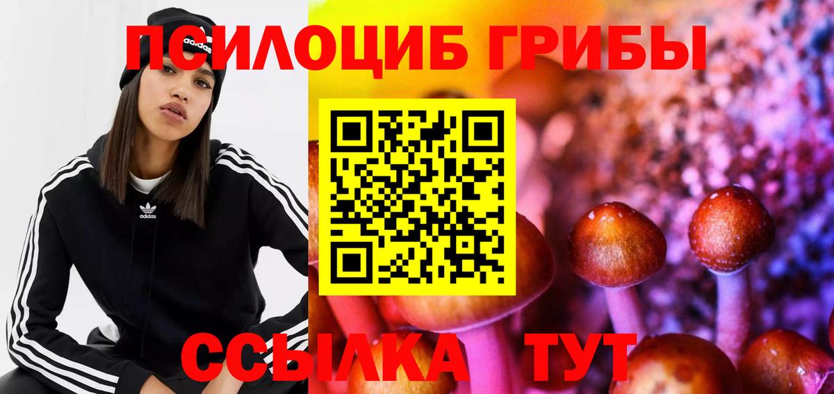 Скопин  где купить   Вход с VPN  Галлюциногенные грибы Magic Shrooms 
